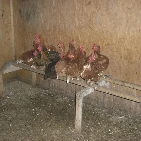 בית חווה Vorderstockerhof *