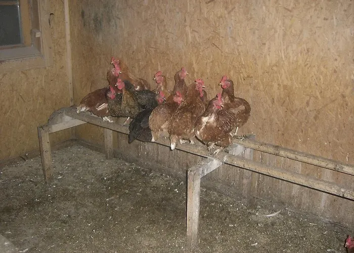 مزرعة للإقامة Vorderstockerhof *